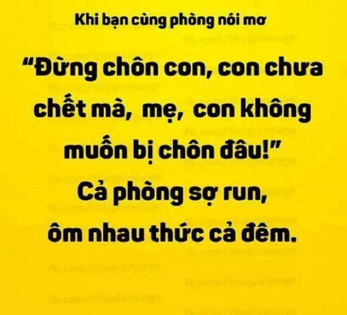 Câu nói mơ của bạn cùng phòng làm cả phòng "đốn tim". (Nguồn:Facebook).