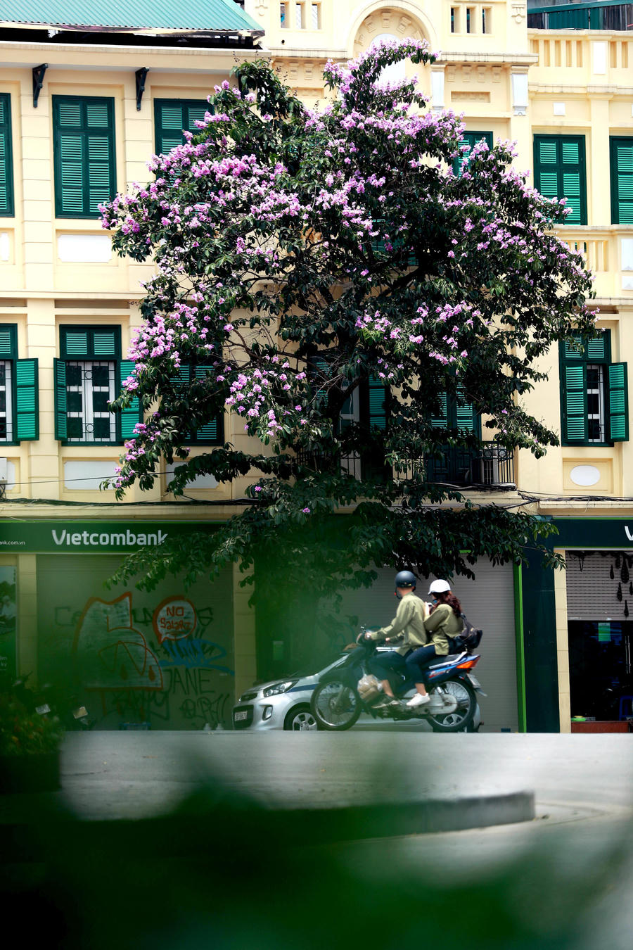 Ngắm bằng lăng khoe sắc rực rỡ đầu hè, rộn ràng từng góc phố - Ảnh 3.