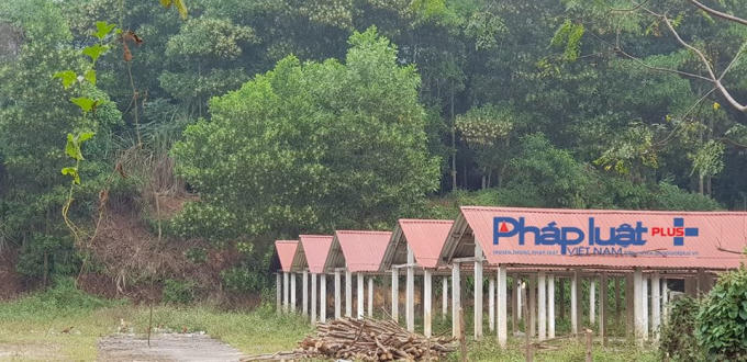Khu vực đồi keo phía sau chợ là hiện trường tìm thấy 2 khẩu súng AK (Ảnh: Tiến Vũ)