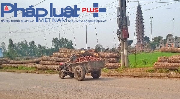 Những chiếc công nông đầu dọc (bị cấm lưu thông) là phương tiện vận chuyển gạch chủ yếu của những chủ lò gạch này.