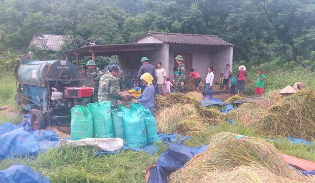 Những người lính biên phòng giúp dân bản Ka Ai gặt, tuốt lúa