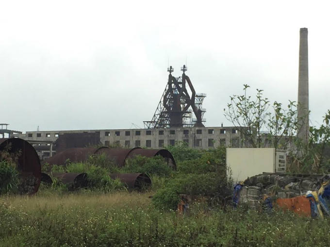 Cây cối, cỏ dại mọc ùm tùm trong khuôn viên nhà máy.