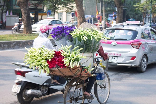 Tháng tư trên khắp các ngả đường chúng ta luôn bắt gặp những xe hàng rong ruổi trên các con phố làm ai nhìn thấy cũng phải xốn xang, yêu đời.