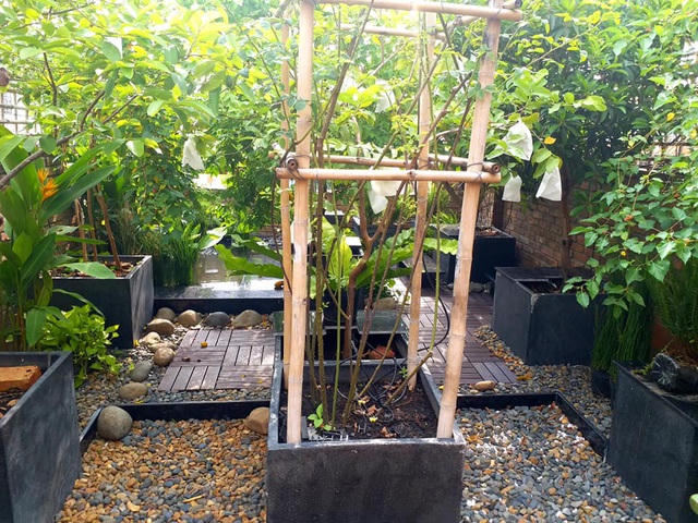 Ngoài ra, để tránh việc ngập úng, trước khi trải sỏi và lót sàn, anh Chính thiết kế thêm một lớp sàn đế nhựa có dạng lưới tổ ong và lớp vải địa kỹ thuật để ngăn cát, lá cây... rơi xuống gây đọng nước và tắc nghẽn dòng chảy.