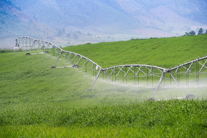 Hệ thống tưới nước hiện đại tại cánh đồng Trang trại bò sữa TH.