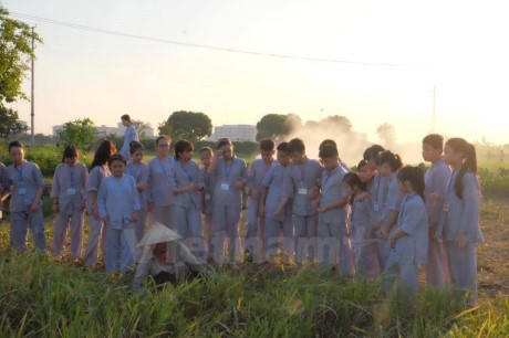 Hay ra đồng lắng nghe chia sẻ của bác nông dân về sự vất vả để làm ra hạt gạo. (Ảnh: Dương Phạm/Vietnam+)