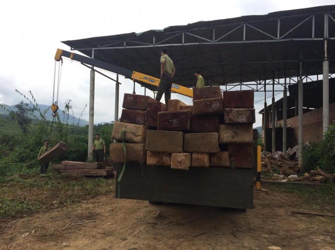 Khối lượng gỗ đang được các lực lượng chức năng kiểm đếm.
