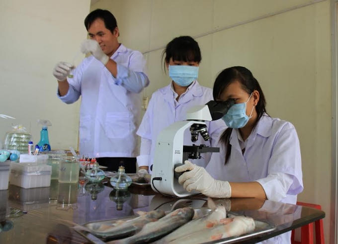 Các kỹ thuật viên đang lấy mẫu để xét nghiệm hải sản.