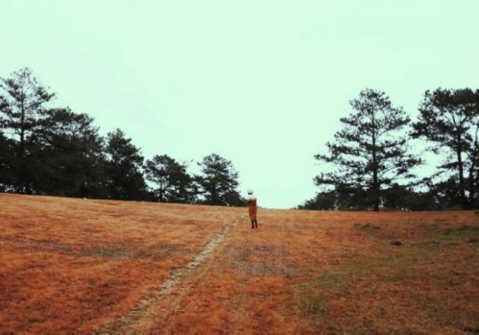 Xem xong MV này, hẳn nhiều người chỉ muốn đến Đà Lạt ngay lập tức.