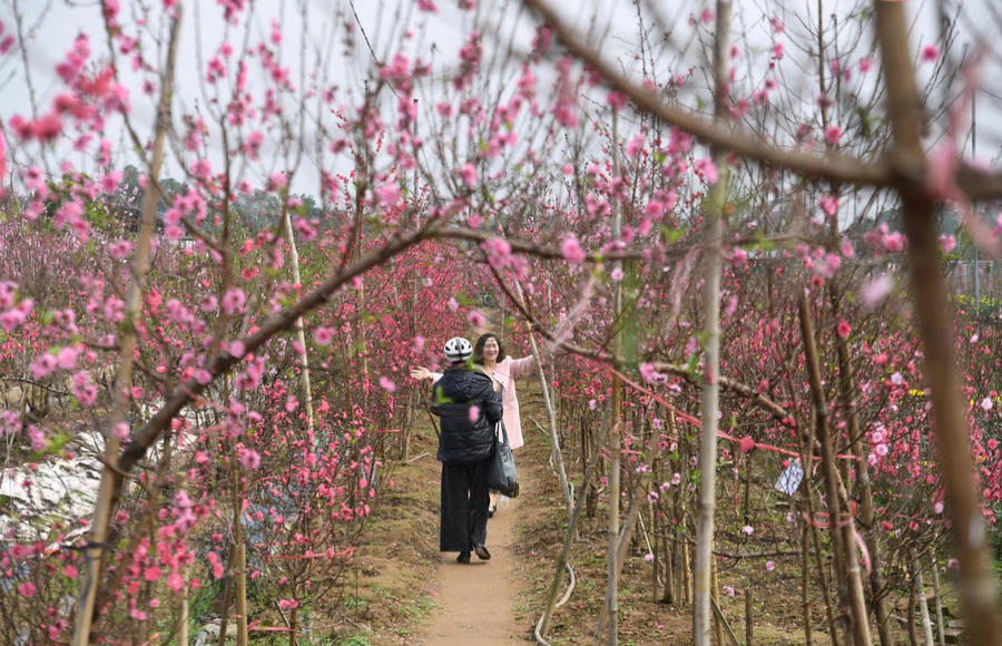 Sắc hoa ngập tràn