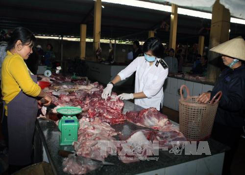 Nhân viên thú y kiểm tra vệ sinh an toàn thực phẩm tại một hộ kinh doanh thịt gia súc ở chợ thị xã Sầm Sơn (Thanh Hóa). Ảnh: Vũ Sinh/TTXVN