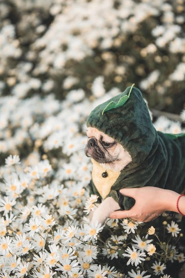 Cộng đồng mạng