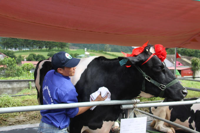 Cuộc thi hoa hậu độc nhất vô nhị ở Việt Nam