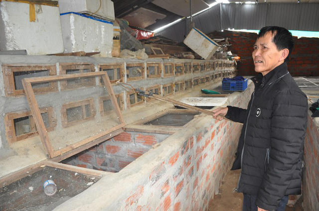 Ông Nhuần bên các chuồng nuôi rắn của gia đình mình.