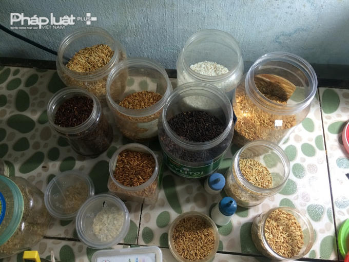 Cơ sở tranh gạo của chị Kiều đã phát triển trong vòng 3 năm. Càng ngày, các sản phẩm của chị ngày càng tinh xảo, nghệ thuật hơn.