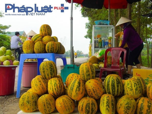 Dù mới vào đầu mùa vụ dưa nhưng thời tiết nắng nóng nên lượng dưa tiêu thụ khá mạnh.