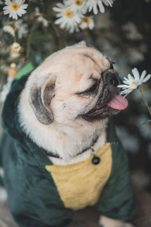 Cộng đồng mạng