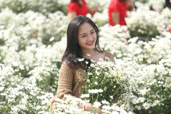Các thiếu nữ e ấp tạo dáng cùng bên những luống cúc họa mi trắng tinh khôi.