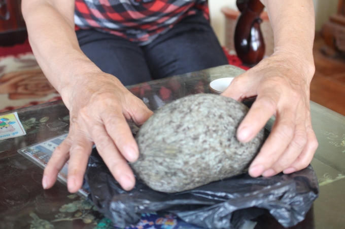 V&acirc;̣t th&ecirc;̉ nghi là Cát Lợn có chi&ecirc;̀u dài khoảng 13 cm và nặng 0,55kg. (Ảnh: Văn Lịnh).