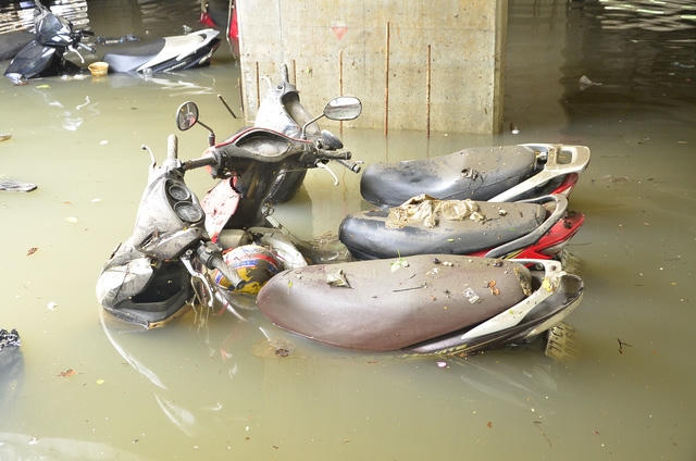 TP HCM: H&agrave;ng trăm người bỏ việc đi