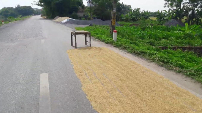 H&agrave; Nội: Mặt đường bị &ldquo;biến&rdquo; th&agrave;nh s&acirc;n phơi th&oacute;c l&uacute;a