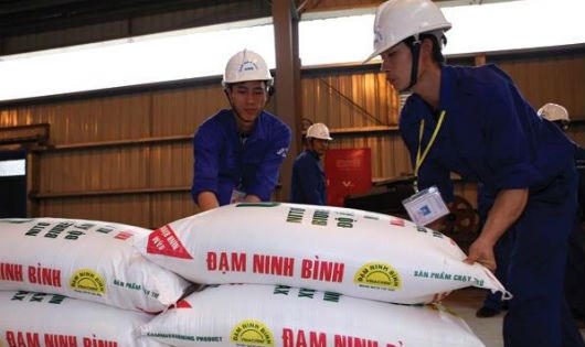 Phân bón nhập khẩu tăng khiến Đạm Ninh Bình công suất 550 ngàn tấn giảm xuống còn 150 ngàn tấn, vẫn không bán được.