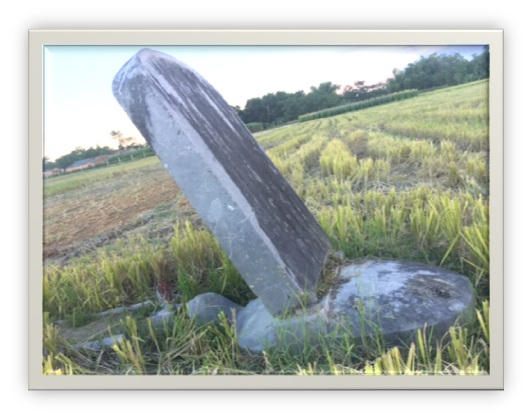 Tấm bia trên thân Rùa ở tư thế nghiêng.