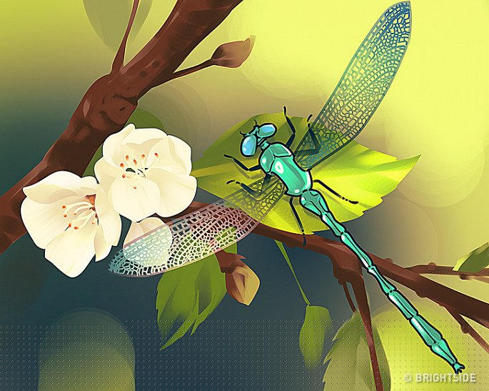 Do ban tim ra diem bat thuong o buc tranh sau trong 30 giay? hinh anh 6