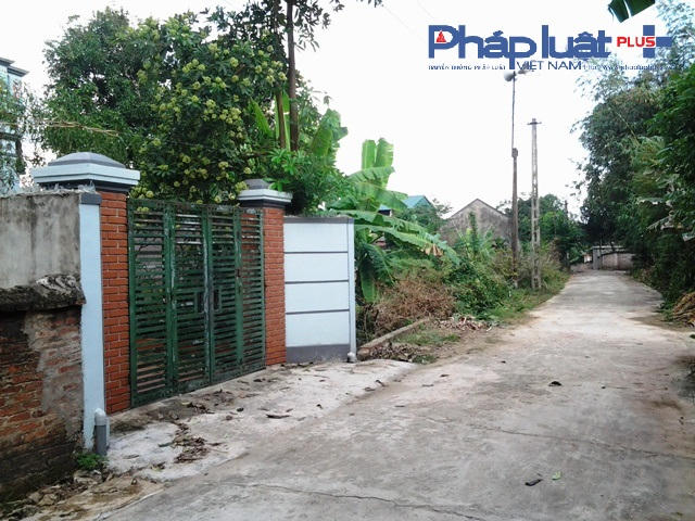 Thửa đất ông Định đã mua trúng đấu giá khi Ngân hàng bán phát mại (Ảnh: Đào Tấn)