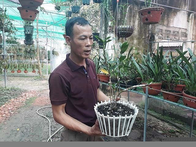 Sau một thời gian bắt tay vào trồng lan nhận thấy thị trường lan ngày càng phát triển tốt và mang lại thu nhập kinh tế ổn định nên anh Tuất đã quyết tâm gắn bó với nghề trồng lan.