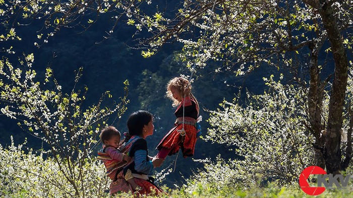 Tác phẩm “Mùa xuân của mẹ” của tác giả Hoàng Thị Bích Hiệp, dự thi Giải ảnh báo chí Khoảnh Khắc Vàng 05 - một cuộc thi về ảnh báo chí do TTXVN tổ chức.