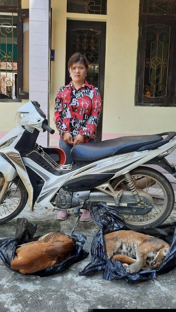 Đối tượng Nguyễn Thị Thúy và 2 con beo lửa