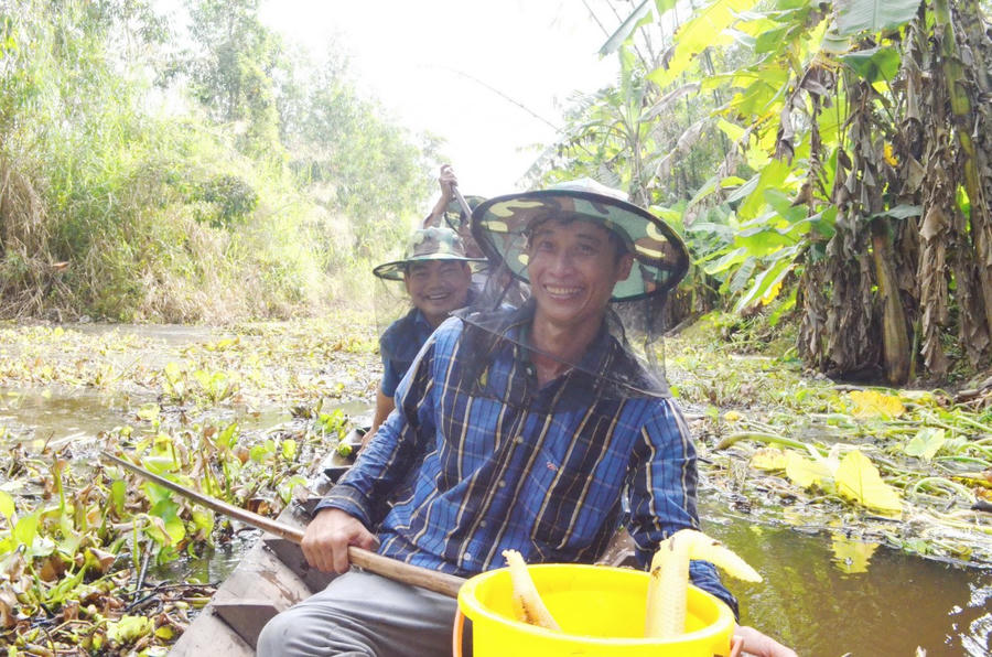 Ông Khanh và ông Hoàng bơi xuồng đưa chúng tôi len lỏi qua thảm bèo dày đặc, lau sậy, tiến sâu vào rừng tràm.