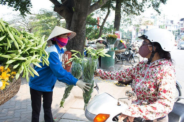 Đến vội rồi cũng vội đi, do chỉ nở duy nhất vào tháng 4 hàng năm nên mỗi độ đến mùa hoa, khắp các phố phường Hà Nội, gánh hàng hoa nào cũng có bán loại hoa này. Và người chơi hoa cũng vội vàng mua kẻo lỡ hết mùa hoa.