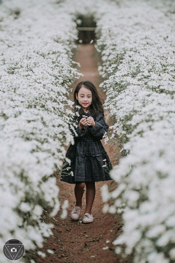 “Tiểu Chi Pu” khiến cư dân mạng sôi sùng sục với bộ ảnh chụp cùng cúc họa mi được đánh giá là đẹp nhất mùa