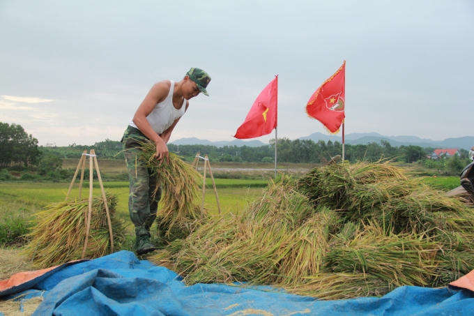 Đến chiều tối ngày 18/10, tất cả những ruộng lúa của dân đã được các chú Bộ đội giúp đỡ thu hoạch hết đưa về nhà, giúp dân an tâm đón bão.