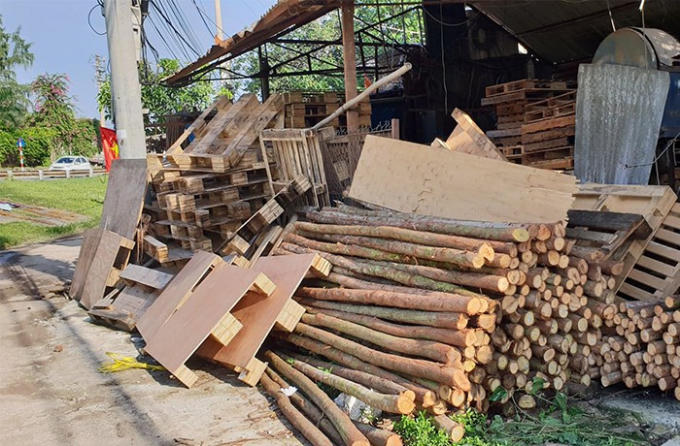 Vi phạm pháp luật về an toàn đê điều diễn ra từ lâu, không bị xử lý dứt điểm nên tồn tại qua nhiều năm.