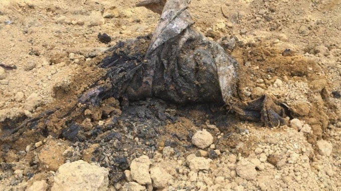 Công ty Ánh Dương chôn lấp chất thải trái quy định tại khu vực Khánh Sơn. (Ảnh minh họa: Nguồn VietNamNet)