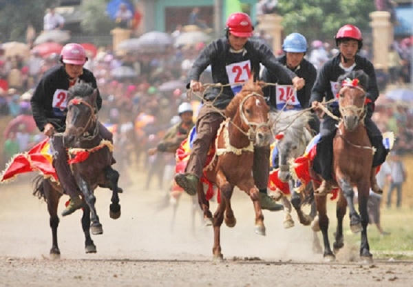 Giải đua ngựa truyền thống ở Bắc Hà, Lào Cai được tổ chức vào tháng 6.
