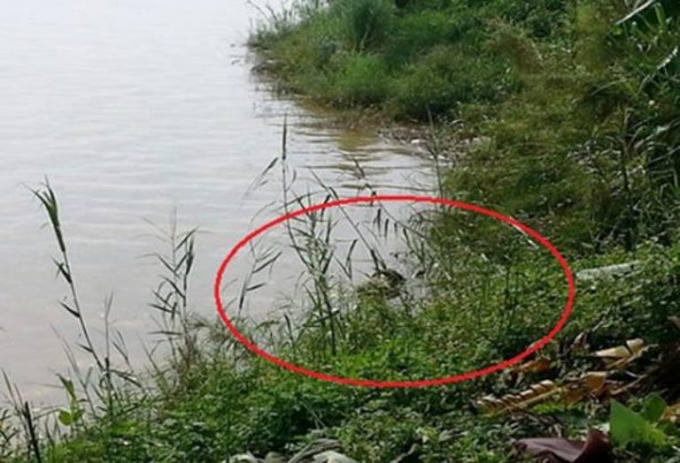 Hiện trường nơi phát hiện thi thể nam thanh niên xấu số.