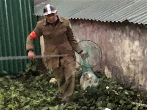 Ông Bình và con chó thả rông mới bắt được.