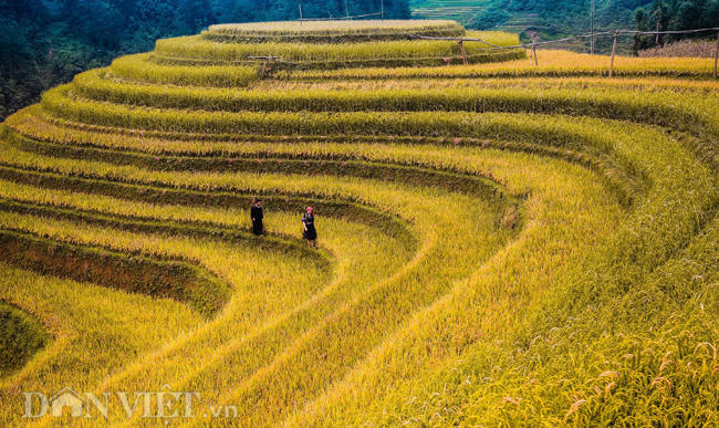 nhung hinh anh tuyet dep ve phong canh, thien nhien viet nam hinh anh 7