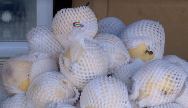 Chỉ cần mua 1 cái tem giá 200 đồng ngoài chợ về dán vào, lê Trung Quốc đã biến thành lê Mỹ