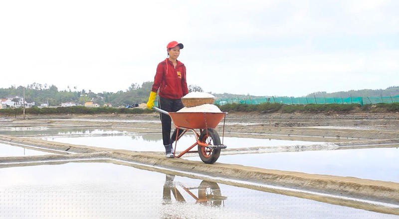 Diêm dân đang đẩy muối vào kho để cất sau khi thu hoạch.