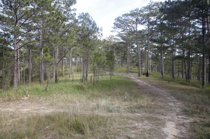 Khu vực đất trống được sử dụng để xây dựng các hạng mục của dự án.