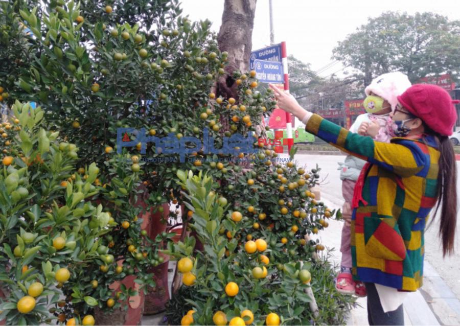 Không khí lạnh tăng cường, Bắc Bộ mưa rét từ ngày mùng 2 Tết.