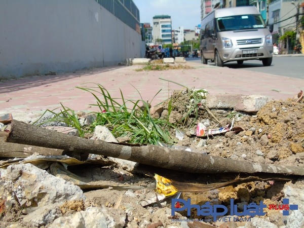 Vỏ cây khô còn sót lại