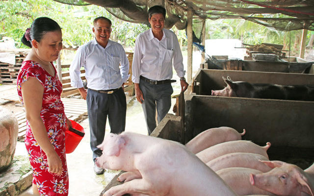 Dịch tả lợn châu Phi khắp miền Nam, lãnh đạo Bộ NNPTNT họp gấp