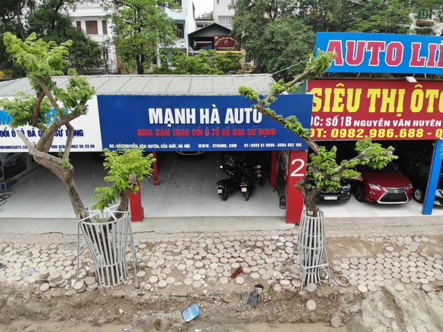 Ở Việt Nam, gỗ sưa đỏ mang lại giá trị kinh tế cao và được rất nhiều người săn tìm.