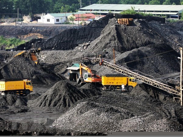 Ảnh minh họa. (Ảnh: Trọng Đạt/TTXVN)